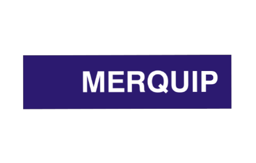 Merquip logo canvas