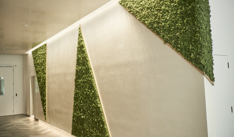 Acoustic Moss Panels: Naturally Sound Absorbing and Versatile
