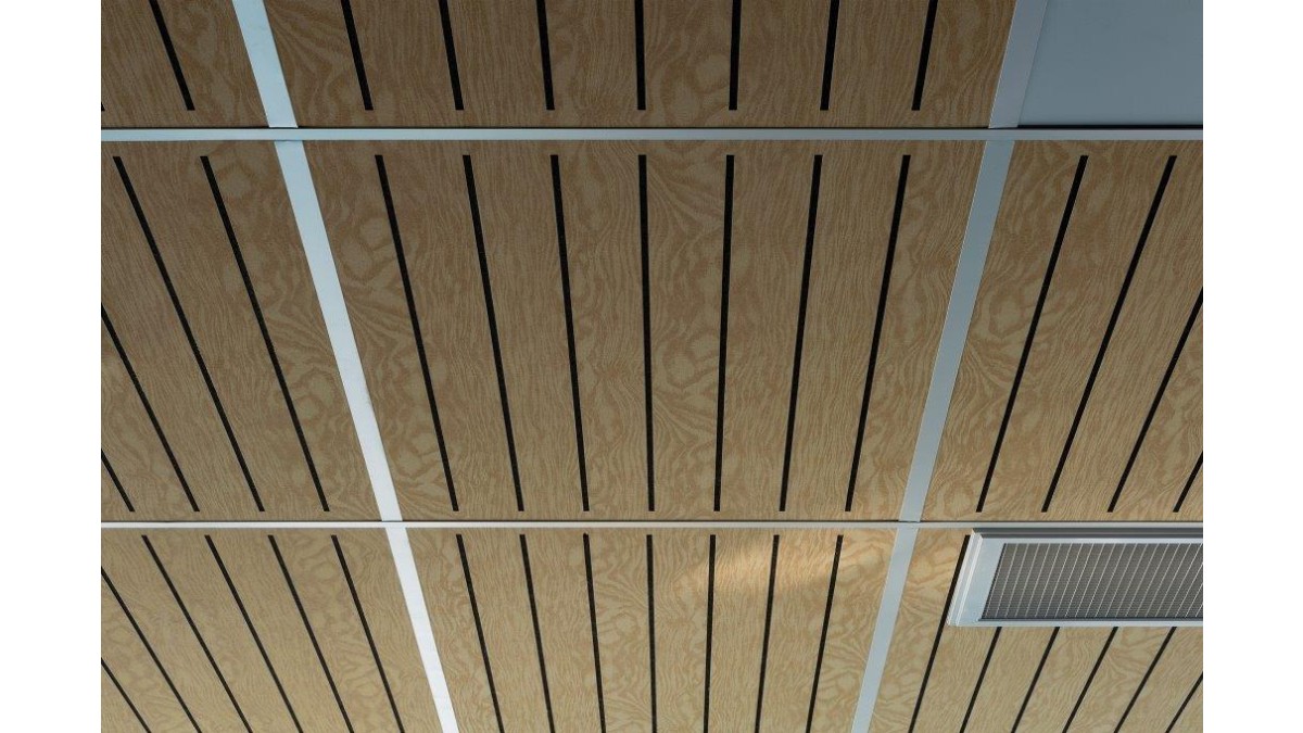 Wakatipu High School ceiling featuring Triton 50 HD.