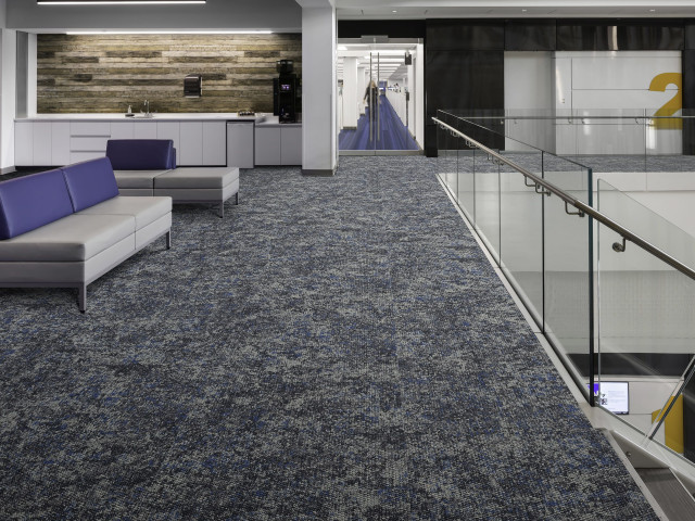 Urban Avenue Carpet