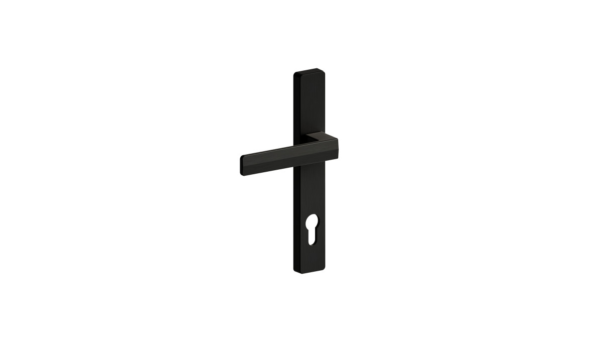 Schlage Verta Long Plate Euro Cylinder Angle PVDB result