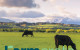 Farmcrete