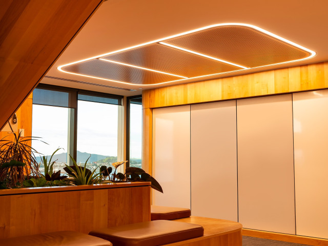 Sonawood perforated ceiling or wall panel
