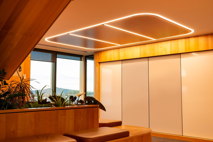 Sonawood perforated ceiling or wall panel