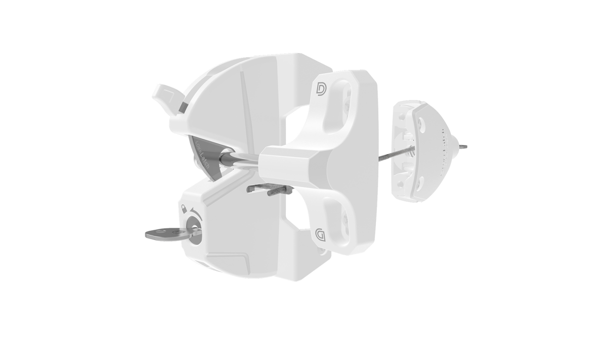 D&D LL3AW 1080x1080px