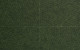 AA Mirage 2 Swatch Boucle Gherkin 1