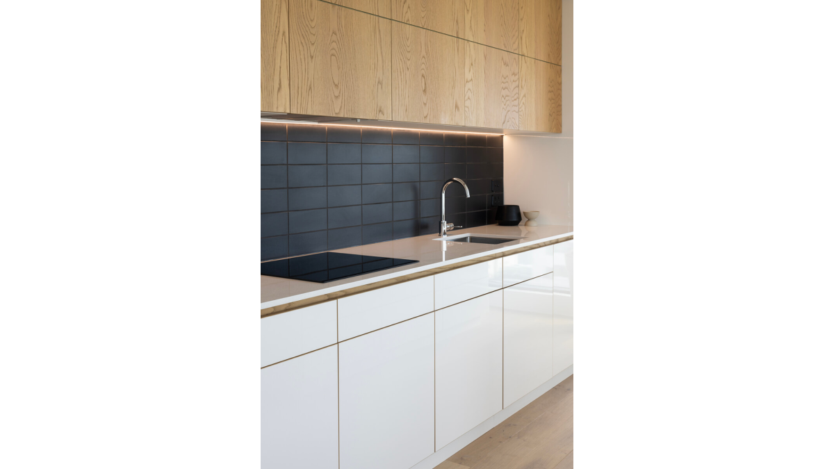 Kitchen coated cabinets PureCoat apartment 8 (1)
