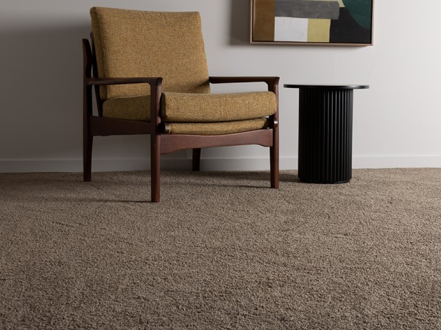 Amoré Textured Solution Dyed Nylon Carpet