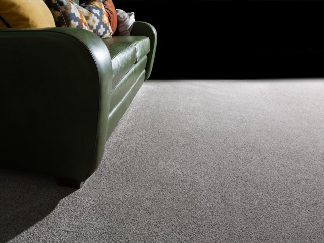 Delta Stainproof Solution Dyed Nylon Carpet
