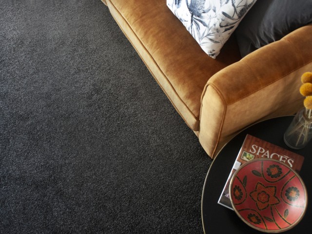 Domain Solution Dyed Nylon Carpet