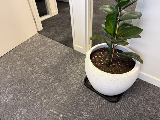 Seastride Carpet Tiles
