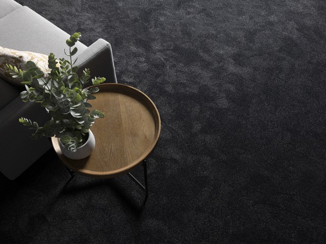 Sonoma Premium Solution Dyed Nylon Carpet