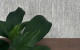 Belleville Marble165 InstallationImage   web