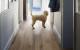 Kahrs Life Walnut   Narrow Install Image