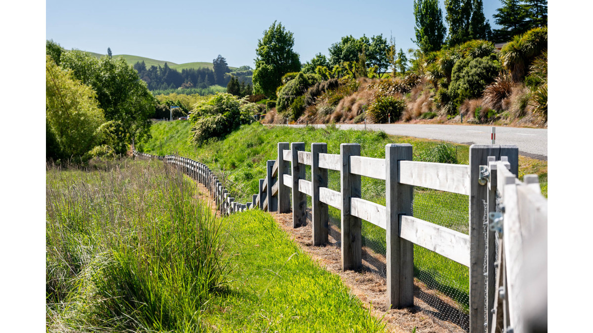 Tucker Beach Road (15)