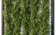 Eboss Image GreenScreen vertical foliage