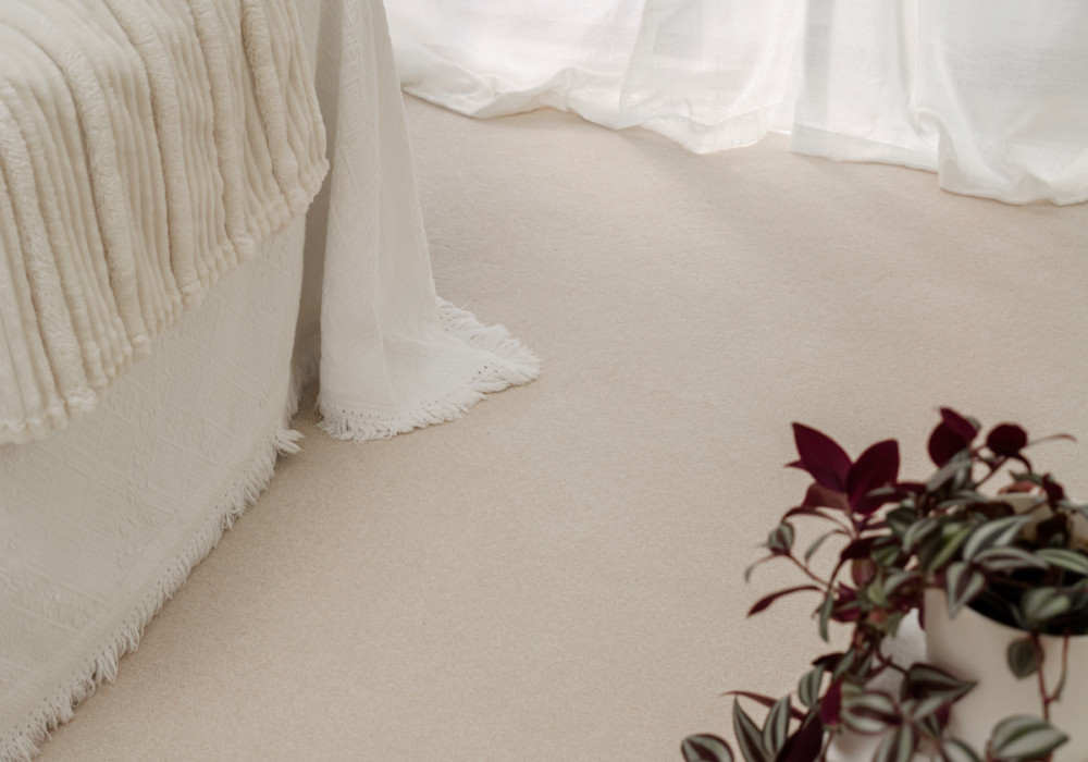 Limelight Solution Dyed Nylon Carpet