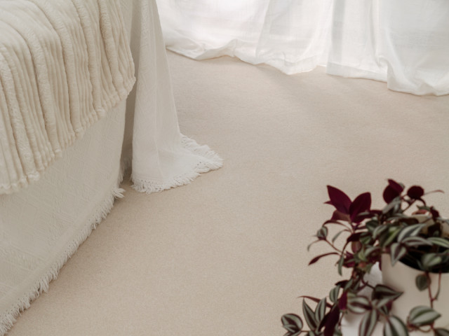 Limelight Solution Dyed Nylon Carpet