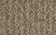 Peppercress smallswatch v2