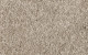 164 Starlight Polaris LargeSwatch