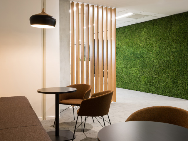 Acoustic Moss Panels