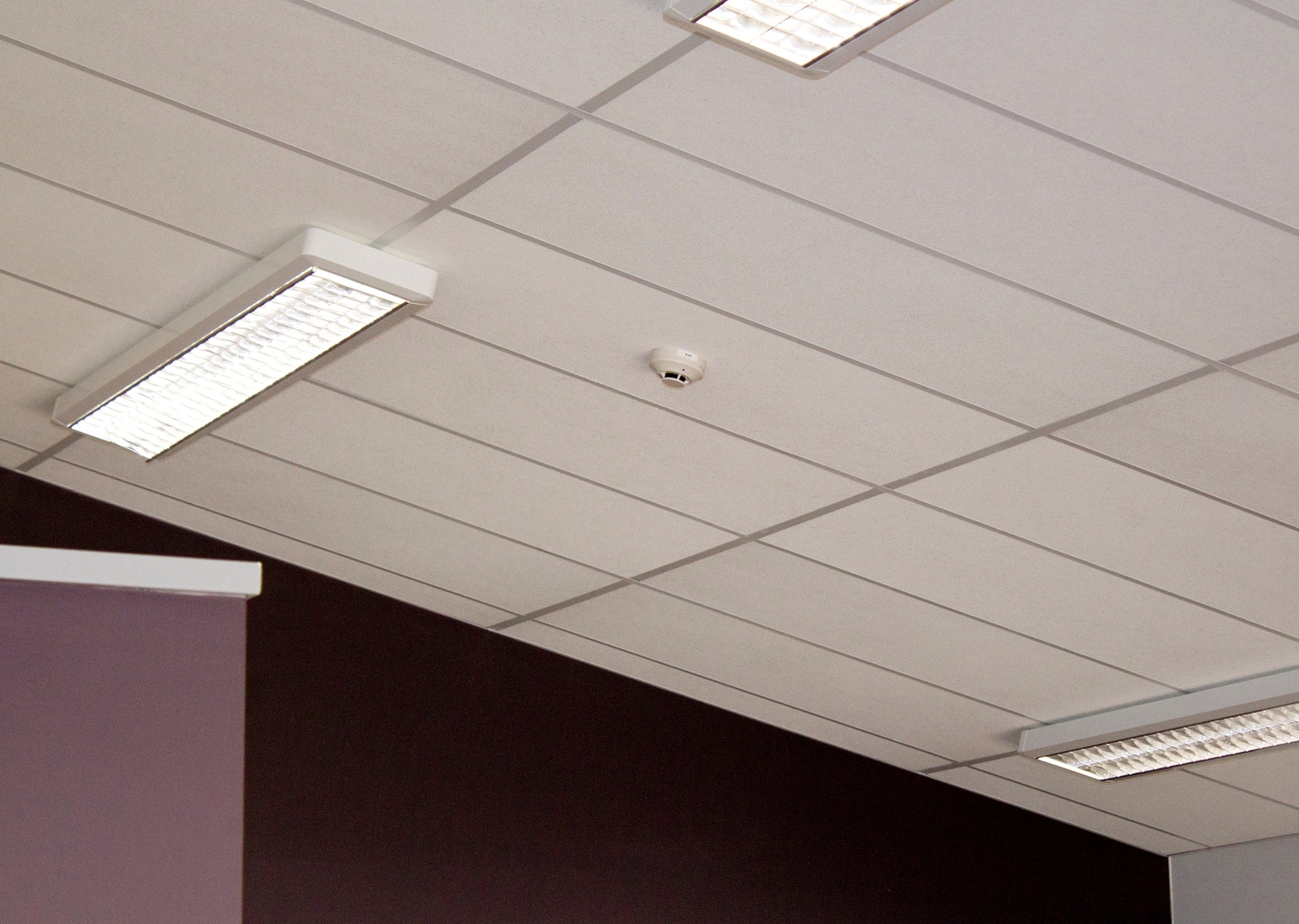 Acoustic Plus Thermo Acoustic Ceiling Tiles by Ecoplus Systems – EBOSS