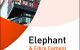Elephant Fibre Cement Fire Rated Systems 2020