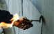colphene bsw torch on