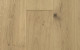Forte Indus Mojave Plank