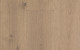 Forte Loft Stamford Plank