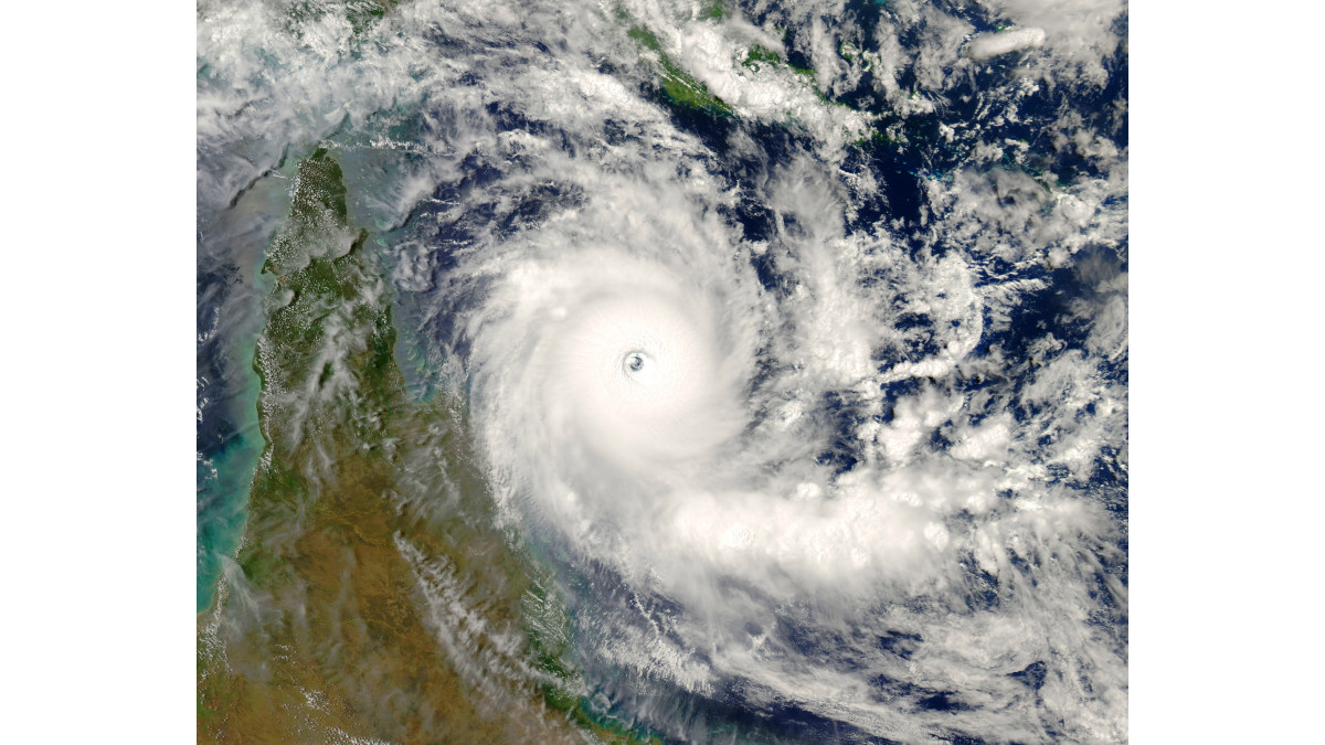 ADJ Cyclone Ingrid 2005