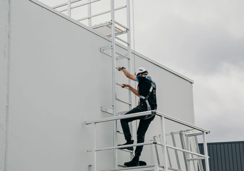 Goleman Rung Ladders