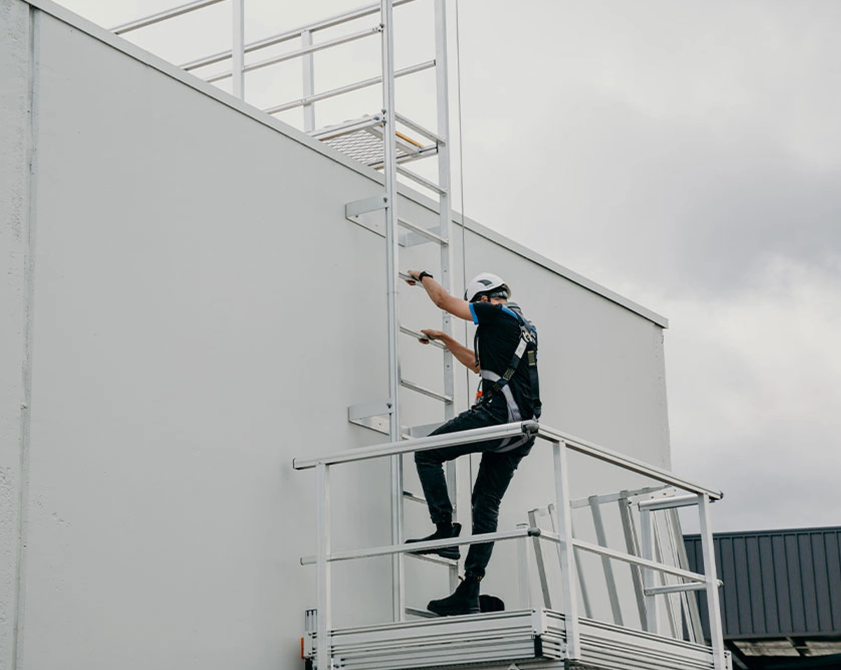 Ladder Rung Scout Goleman Rung Ladders by Goleman Group – EBOSS
