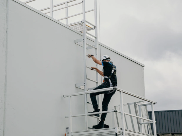 Goleman Rung Ladders