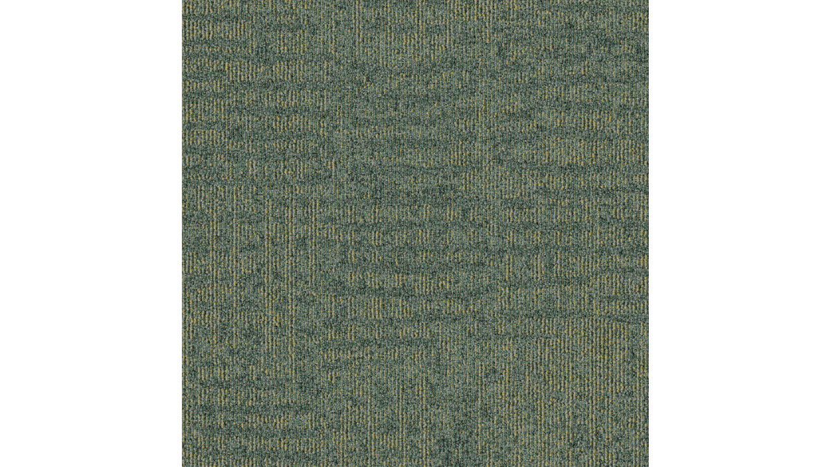 10 683 50x50 C copy