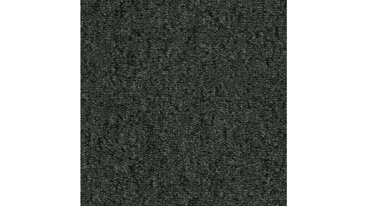 Castor Grey T393350
