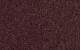 Prune Purple T393660