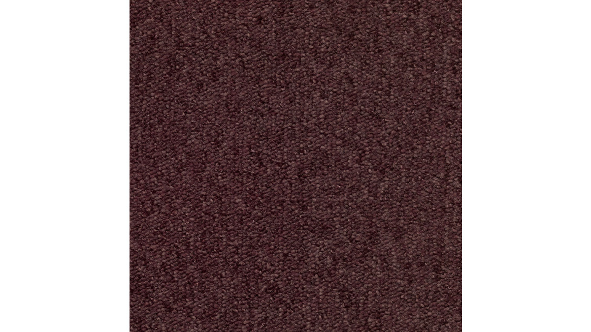 Prune Purple T393660