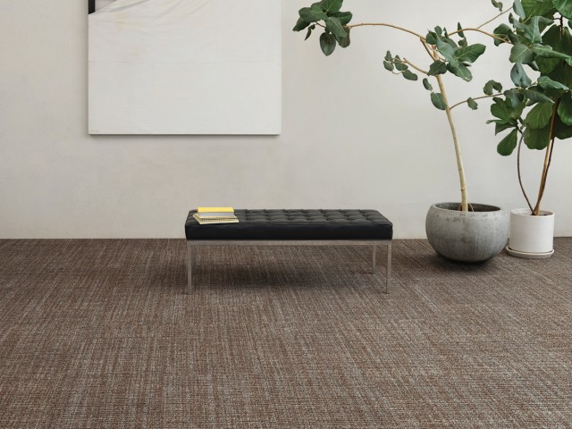 Long Story Short Broadloom and Carpet Tiles by Bentley Mills