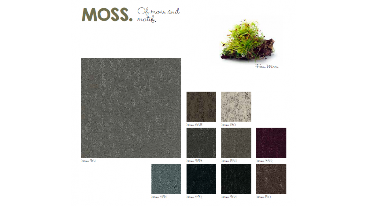 Moss colour palette2