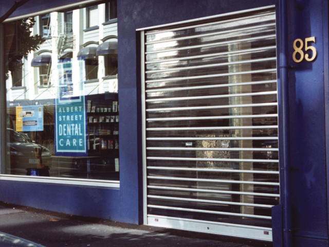Knightguard® Visionline™ Rollergrille