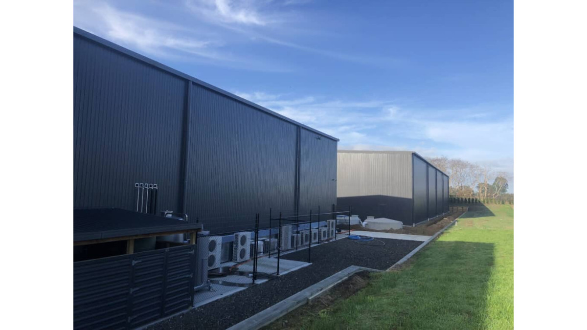 Honey NZ external 4 1024x768