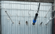 20260226 0912 Industrial Pipes Installation remix 01kjb6vk03fpmb7k825ma968r9