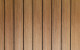 ed Blackwood Black Swatch