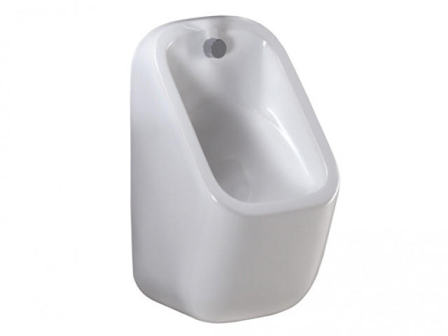 RAK Series Wall Hung Urinal: RA-SE3100