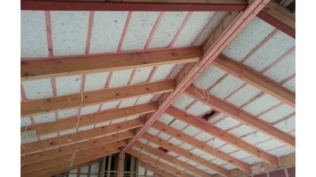 Skillion Roof 2 sm for web