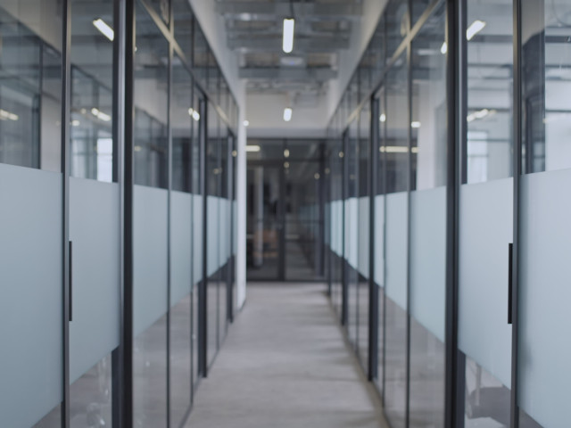 Privacy Glass (Obscure & Frosted)