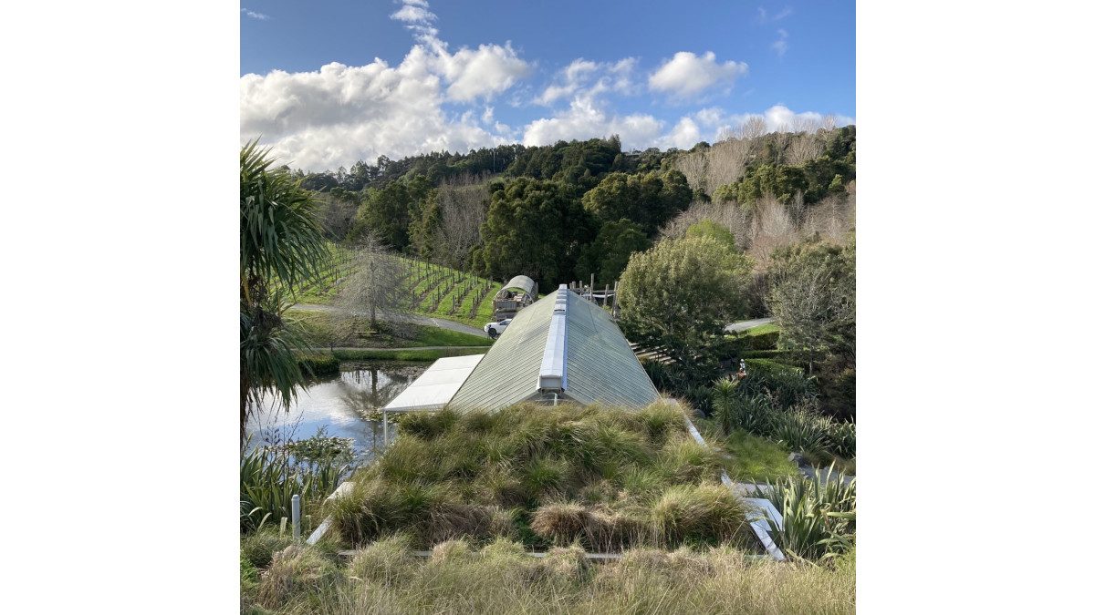 Brick Bay Green Roof