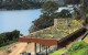 Green Roof Waiheke 1