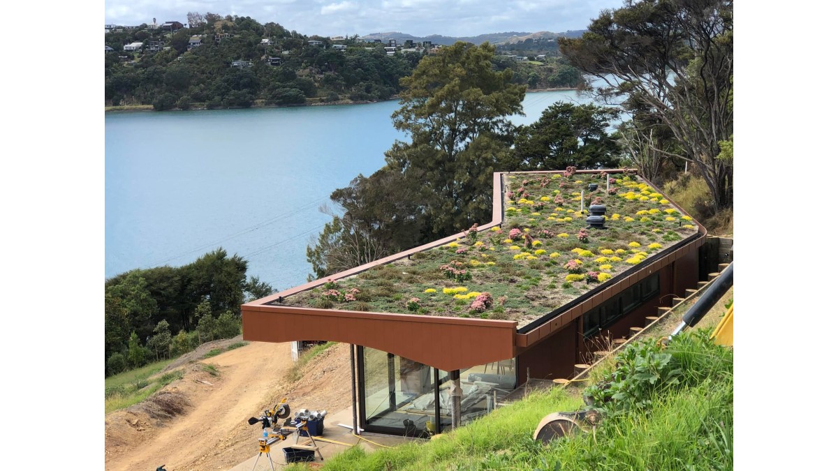 Green Roof Waiheke 1